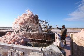 Mining of of sea salt