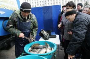 Trade in fish