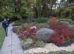 Botanical garden