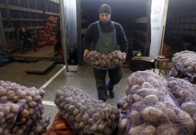 Торгівля овочами