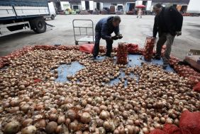 Продавці сортують цибулю