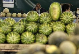 Продавець біля прилавка з динями