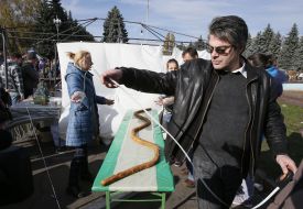 2,5-метрова сирна паличка