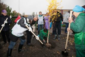 Volunteer action «Green city»