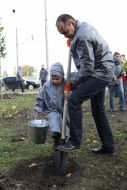 Volunteer action «Green city»