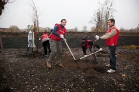 Volunteer action «Green city»