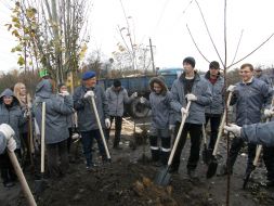 Volunteer action «Green city»