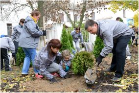 Volunteer action «Green city»