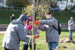 Volunteer action «Green city»