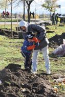 Volunteer action «Green city»