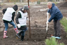 Volunteer action «Green city»