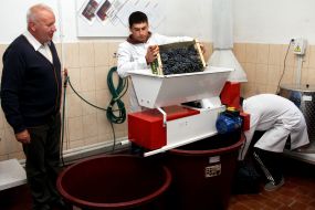 Demonstration of new laboratory equipment for winemaking
