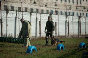 Kamensky penal colony