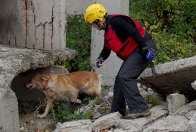 Cynologist with a dog
