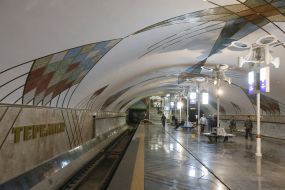 Станція метро "Теремки"