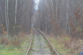 Tunnel of Love