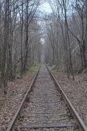 Tunnel of Love