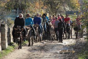 People ride on donkeys