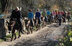 People ride on donkeys