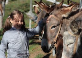 Girl stroking a donkey