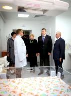 Viktor Yanukovich, Aleksandr Peklushenko, Raisa Bogatyreva and Irina Akimova