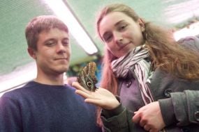 Девушка держит бабочку