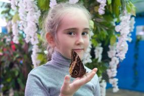 Девочка держит бабочку