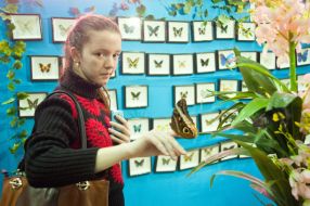 Девушка держит бабочку