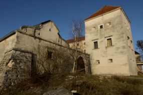 Svirzh castle