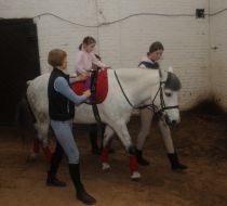 Hippotherapy center «Spiritist»