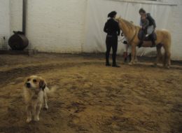 Hippotherapy center «Spiritist»