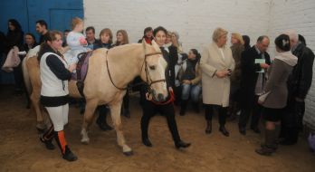 Hippotherapy center «Spiritist»