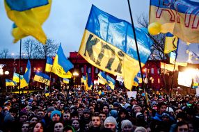 Participants of the action