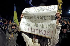 Participants of the action