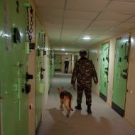 Sector of maximal strength security in the Sofiya correctional colony