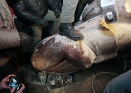 Разбитый памятник Ленину