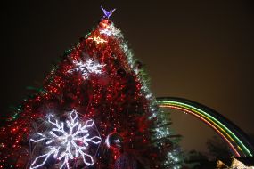 Christmas Tree