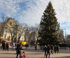 The main Tree of Lvov