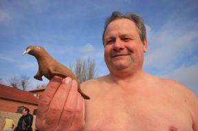 Participant of Christmas swim of walruses