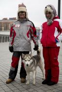 Championship northern dogs