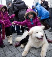 Girl sitting on a dog