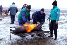 Участники фестиваля