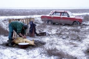 Участник фестиваля
