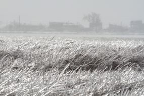 Winter in Evpatoriya