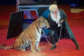 Ева Джулия Кристи с тигром
