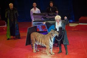 Ева Джулия Кристи с тигром