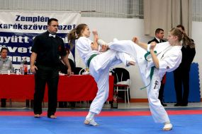 International tournament  on Kyokushin karate