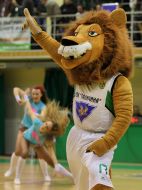 Група підтримки