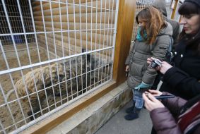 People at the residence "Mezhyhirya"