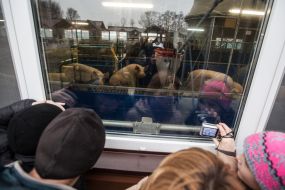 People take pictures at the residence "Mezhyhiria"